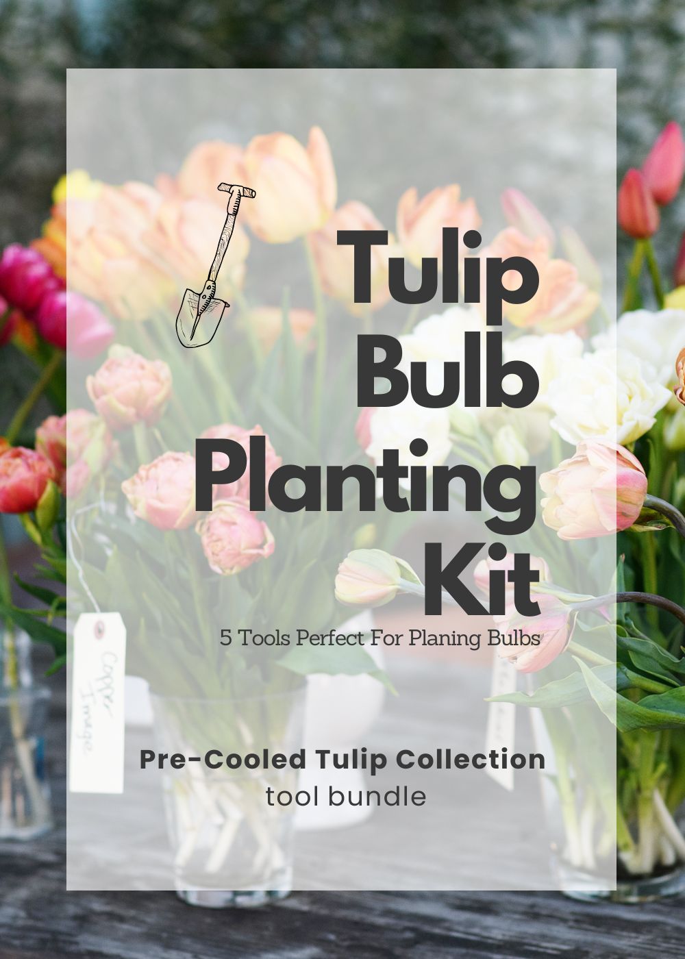 Tulip Bulb Planting Kit - Menagerie Farm & Flower