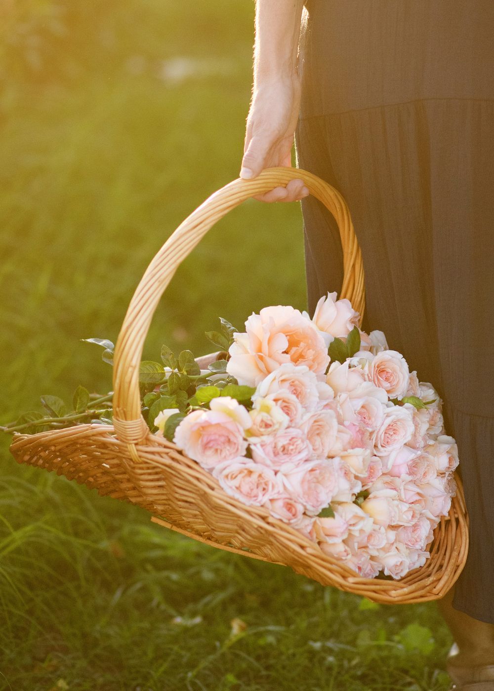 Garden Harvest Basket