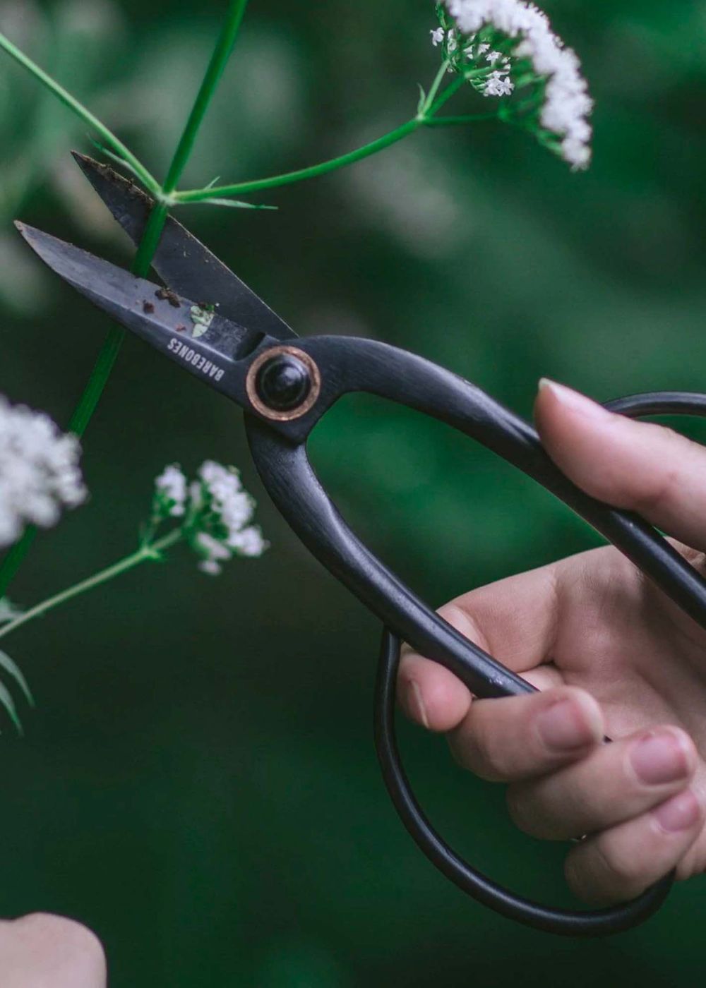 Artisan Garden Pruning Shears - Menagerie Farm &amp; Flower