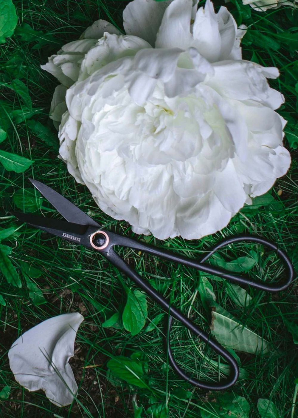 Artisan Garden Pruning Shears - Menagerie Farm &amp; Flower