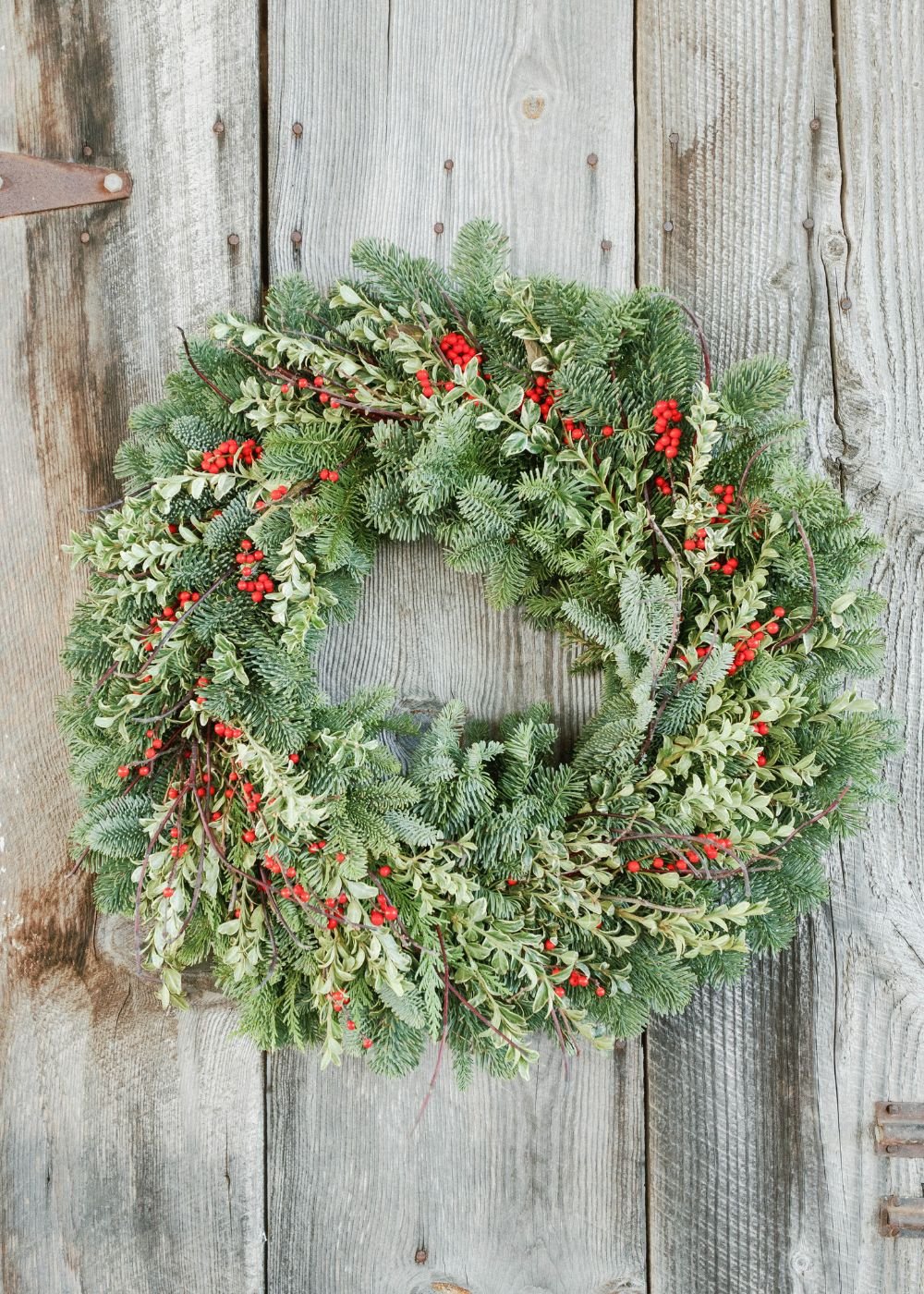 Berrylicious Holiday Wreath - Menagerie Farm & Flower