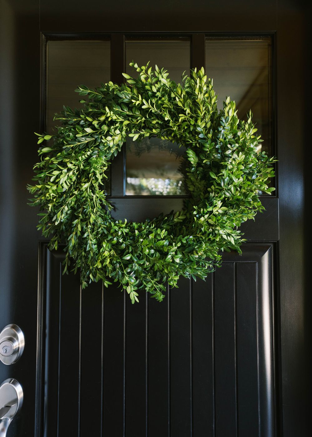 Classic Holiday Boxwood Wreath - Menagerie Farm &amp; Flower