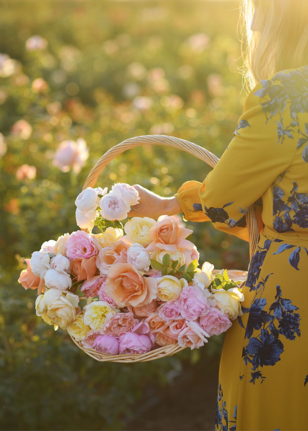 Garden Harvest Basket - Menagerie Farm &amp; Flower