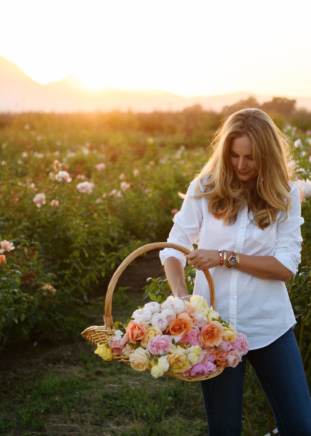 Garden Harvest Basket - Menagerie Farm &amp; Flower