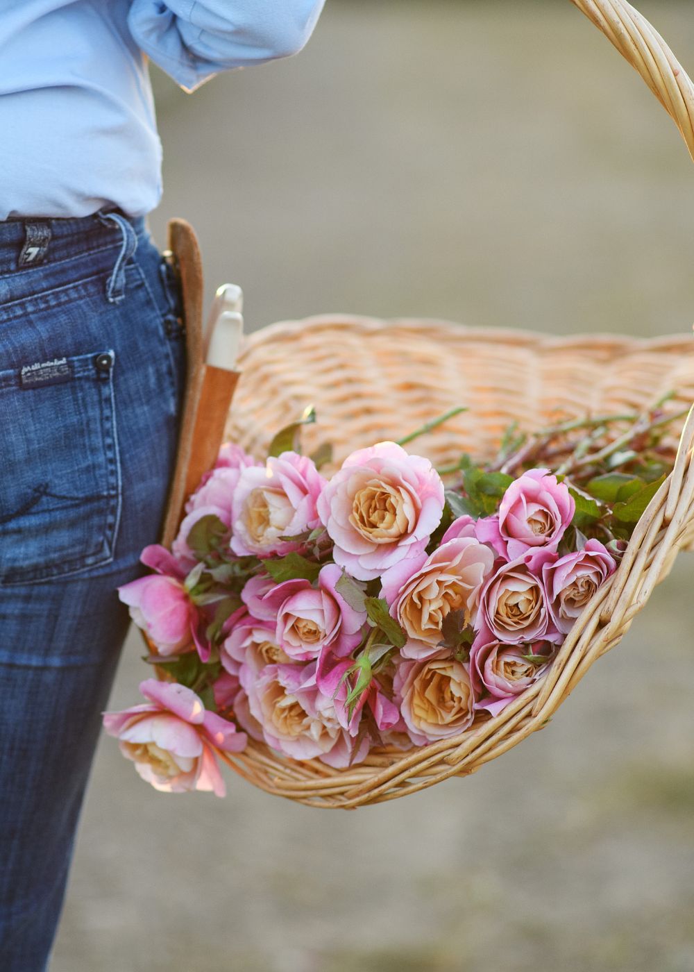 Garden Harvest Basket - Menagerie Farm &amp; Flower