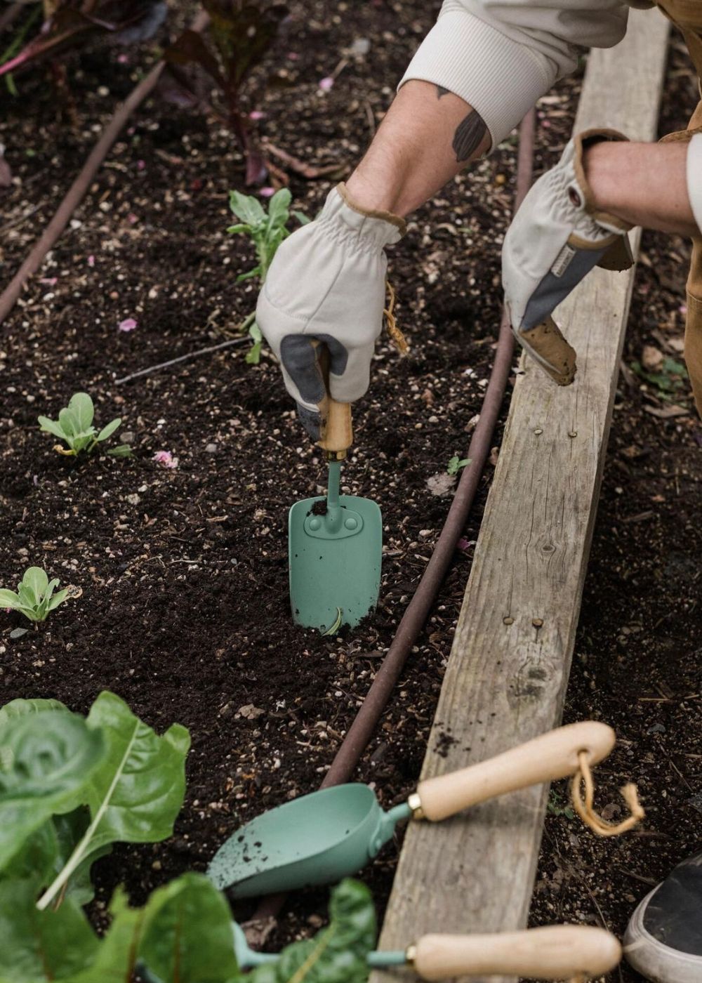 Garden Trowel - Menagerie Farm &amp; Flower