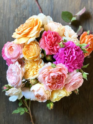 The Classic Garden Rose Bouquet Collection - Menagerie Farm & Flower