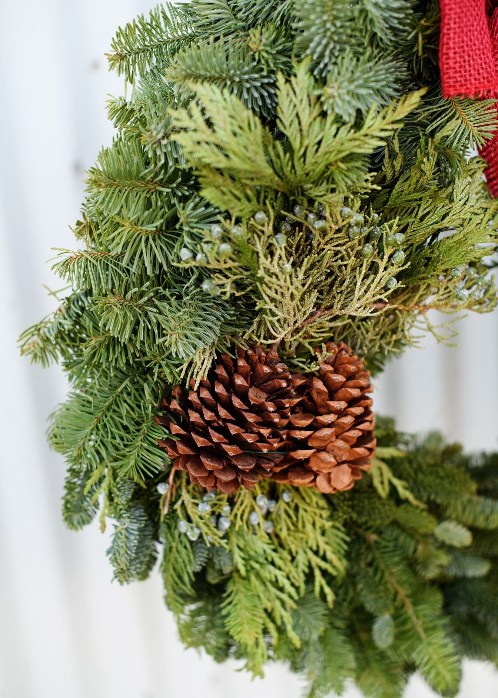 Traditional Cheer Holiday Wreath - Menagerie Farm &amp; Flower