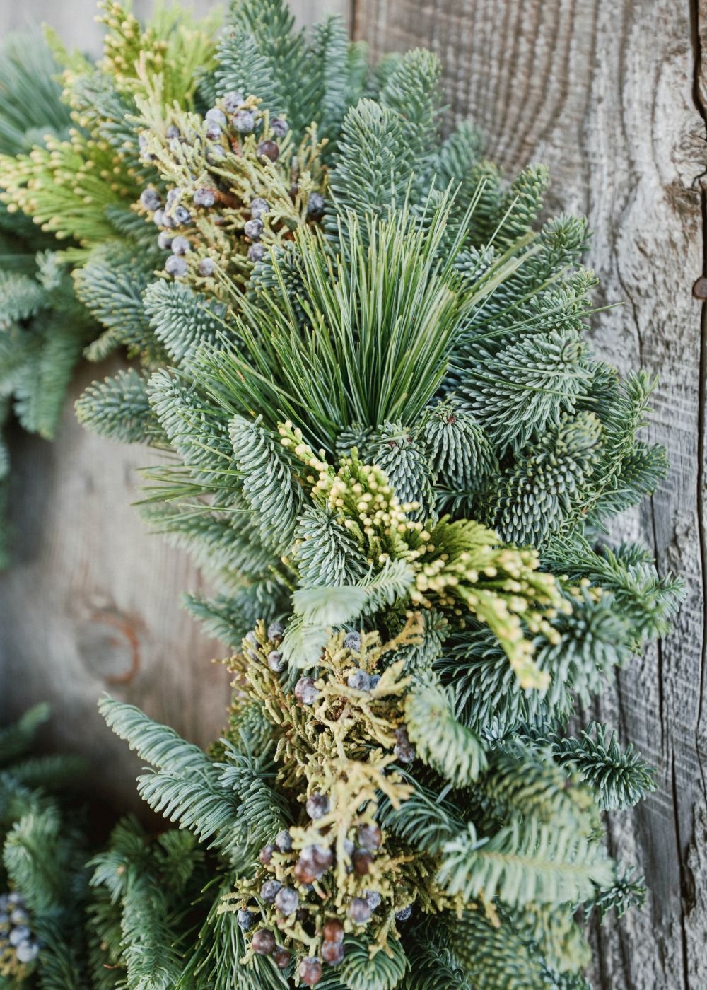 Wintergreen Holiday Wreath - Menagerie Farm &amp; Flower